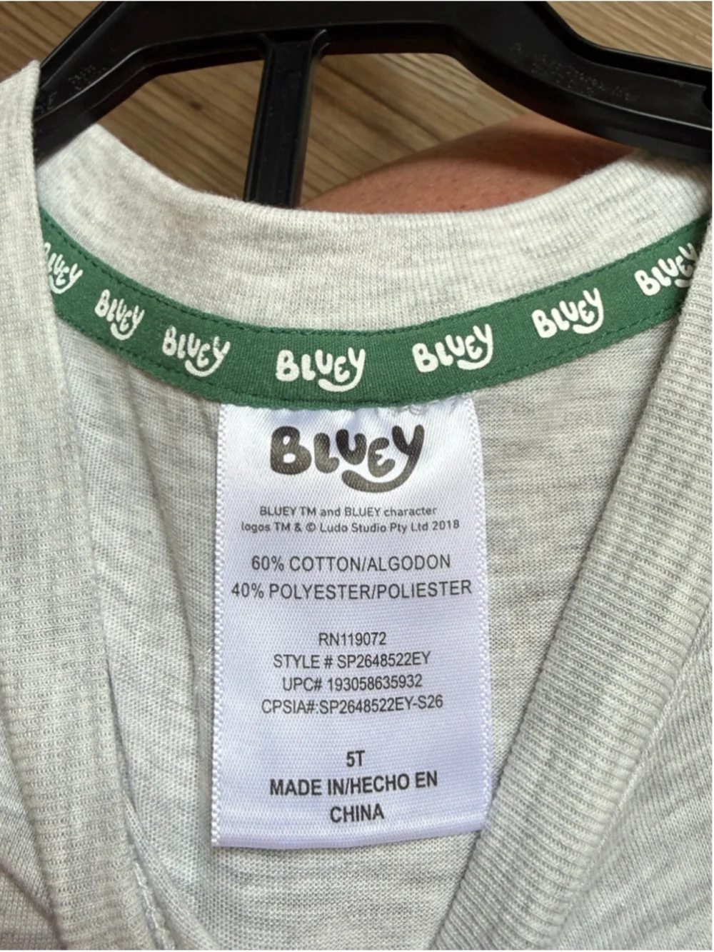 Boys Bluey Matching Set 5T Grey Green Let's Play Outfit
